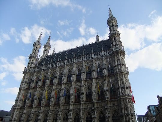 Beste hoogtepunten van Leuven wandeltocht