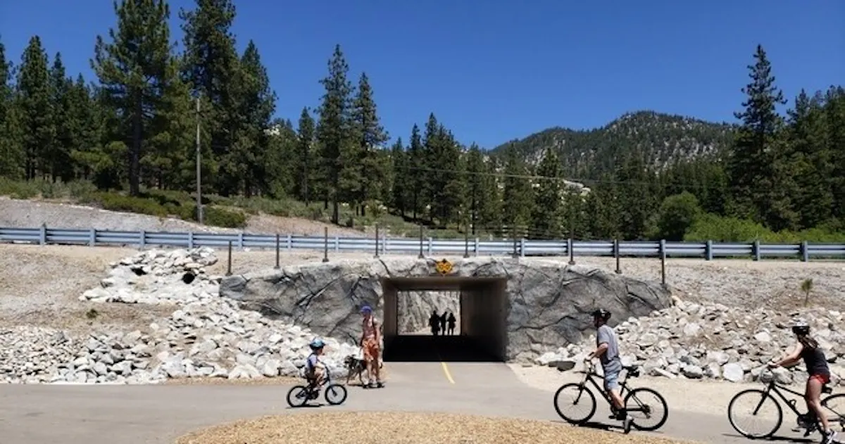 fareharbor-bigbluebikerentals|303619-576950