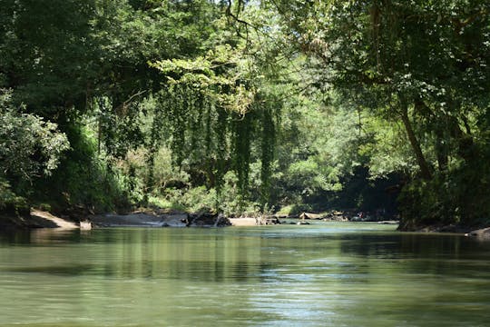 Cruzeiro fluvial em Peñas Blancas e degustação de chocolate