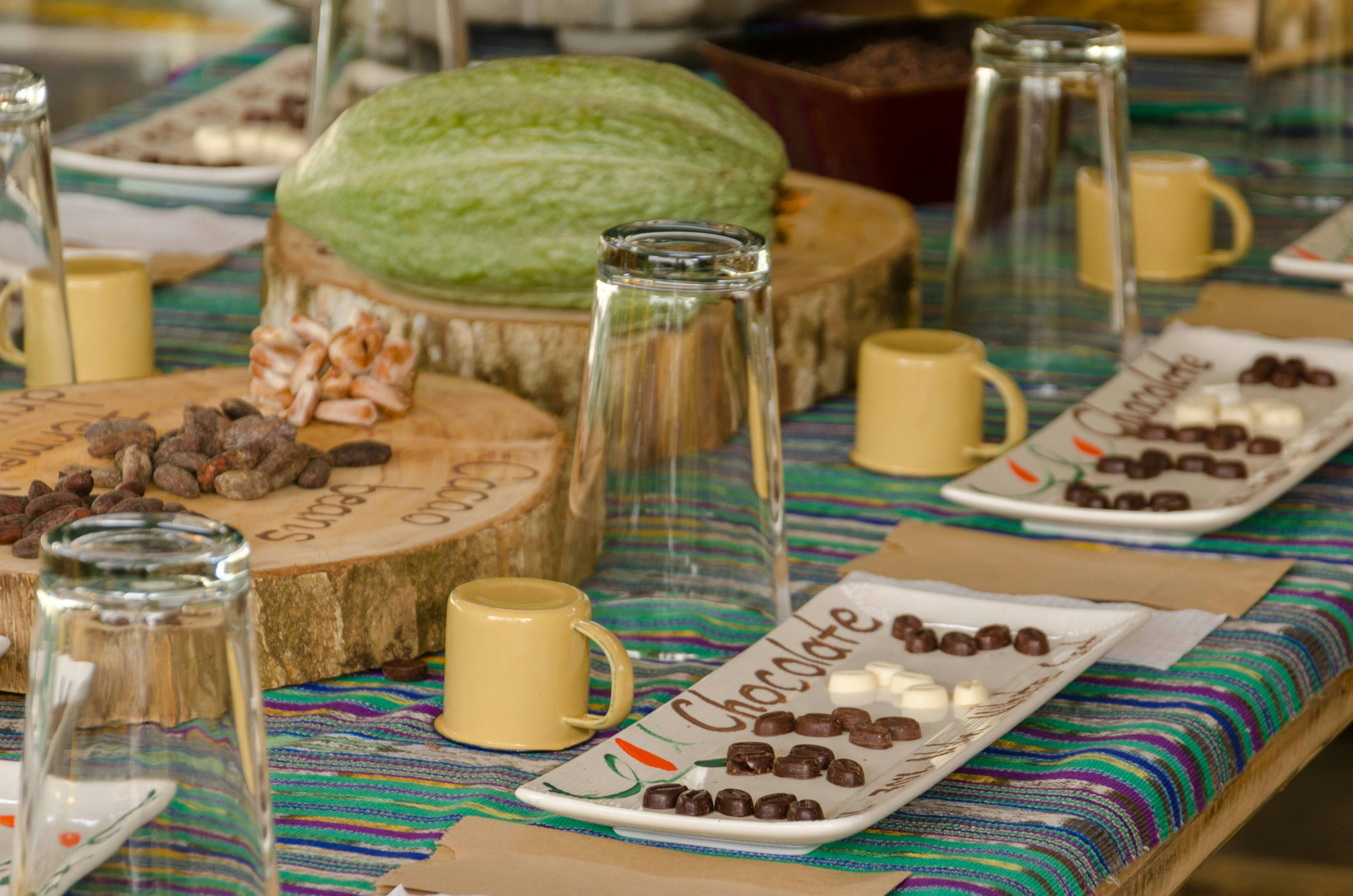 Peñas Blancas River Cruise and Chocolate Tasting