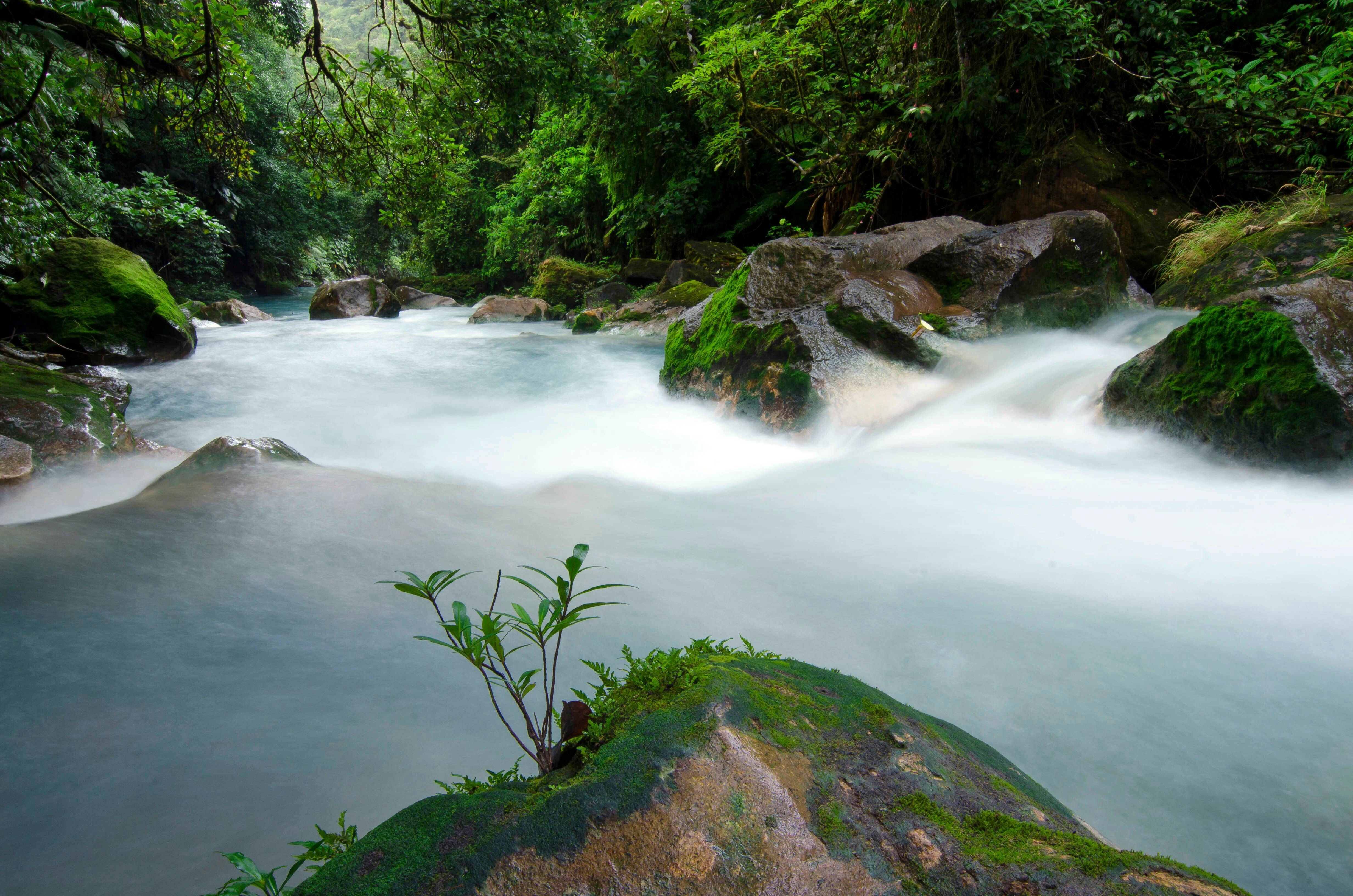 Hiking Tour in Tenorio Volcano National Park