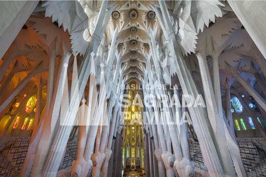 Billets d'entrée à la Sagrada Familia