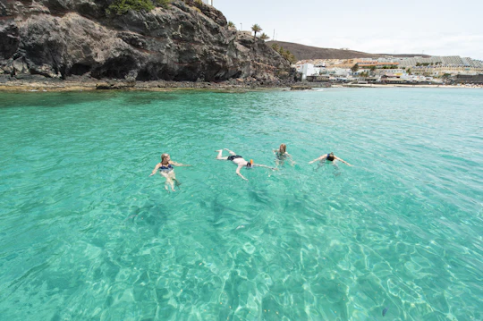 Sailing experience  with dolphin watching  in Fuerteventura