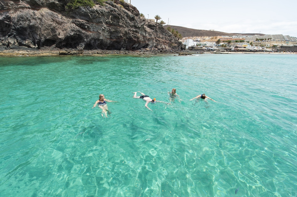 Sailing experience with dolphin watching in Fuerteventura musement