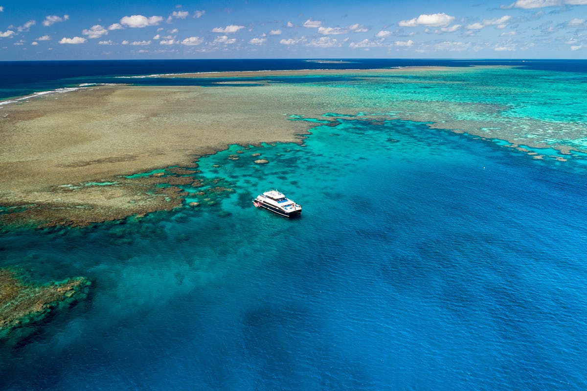 Calypso's Snorkel en duik in de Outer Barrier Reef Tour