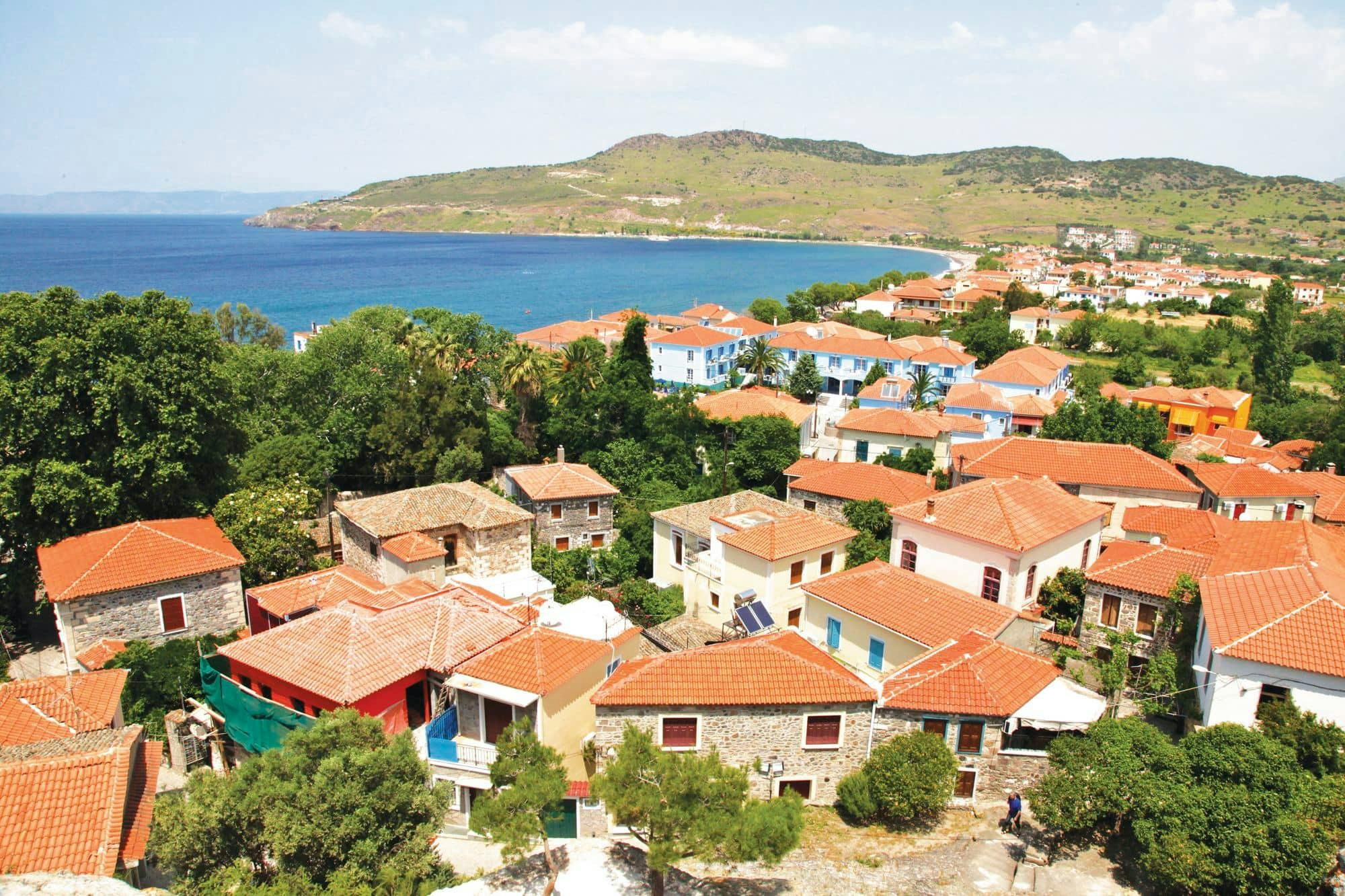 Tour del sud di Lesbo con degustazione di Plomari e Ouzo