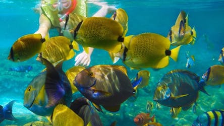 Bom mergulho no mar de Krabi