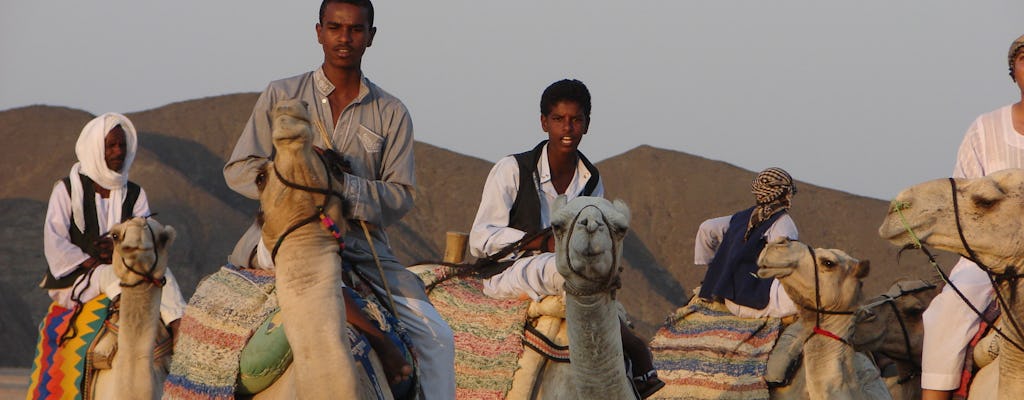 Quad experience with Camel ride in the desert of Marsa Alam