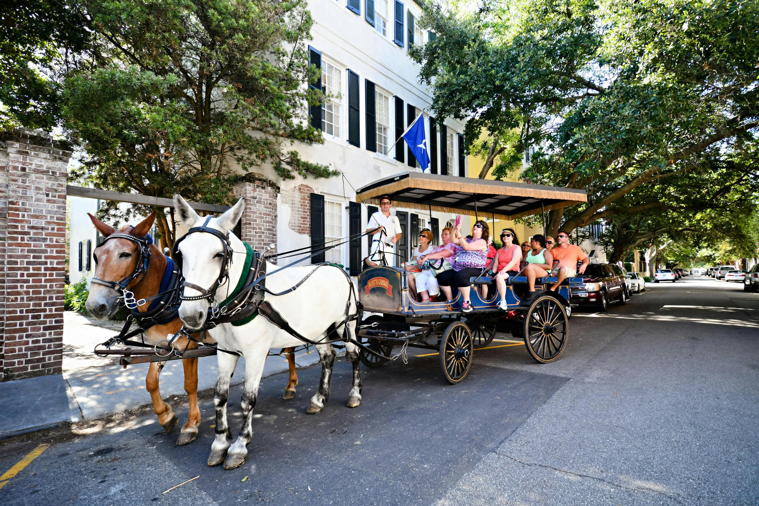 Daytime Group Carriage Tour - Residential District