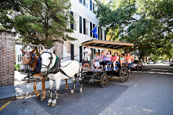 Daytime Group Carriage Tour - Residential District