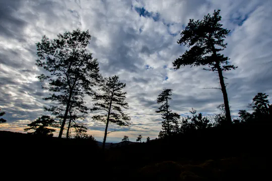 Intro to Michaux State Forest bike tour