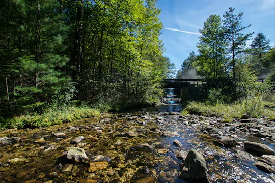 Michaux State Forest couple's bike ride