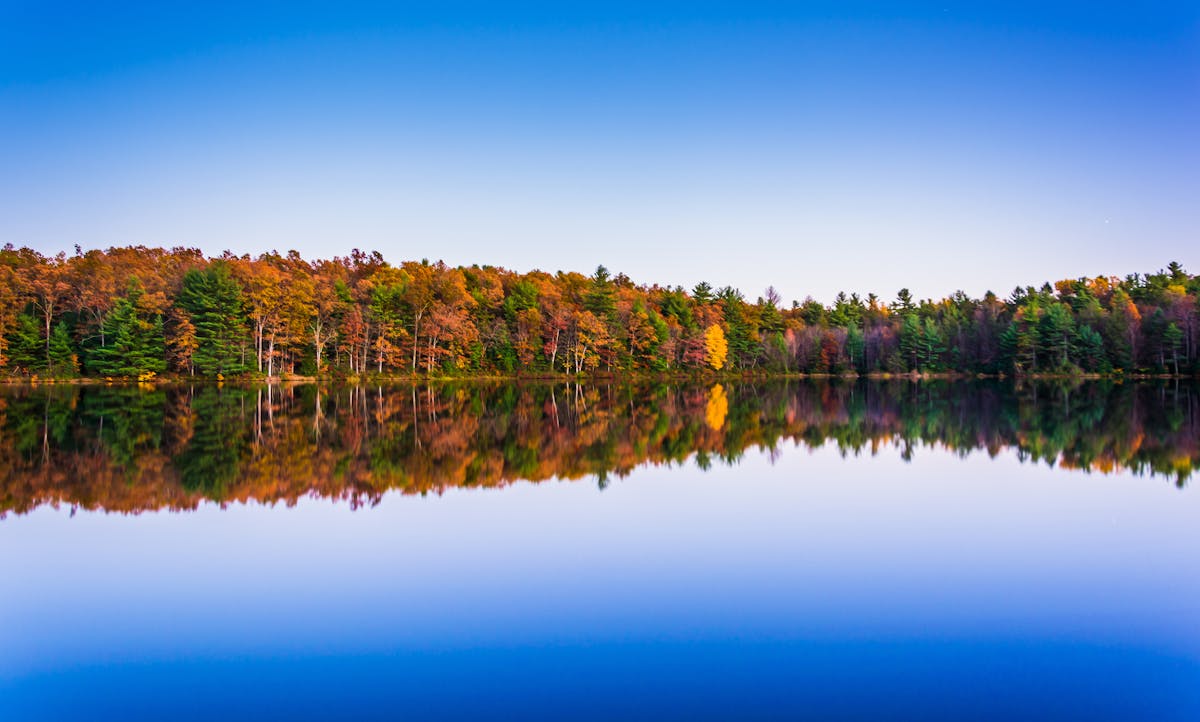 Michaux State Forest fietstocht van een halve dag
