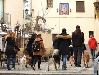 Hondvriendelijke rondleiding door de wijk Realejo in Granada