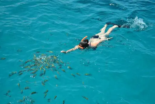 Negril Catamaran Cruise