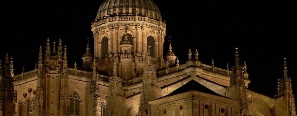 Tour a pie por Salamanca de noche