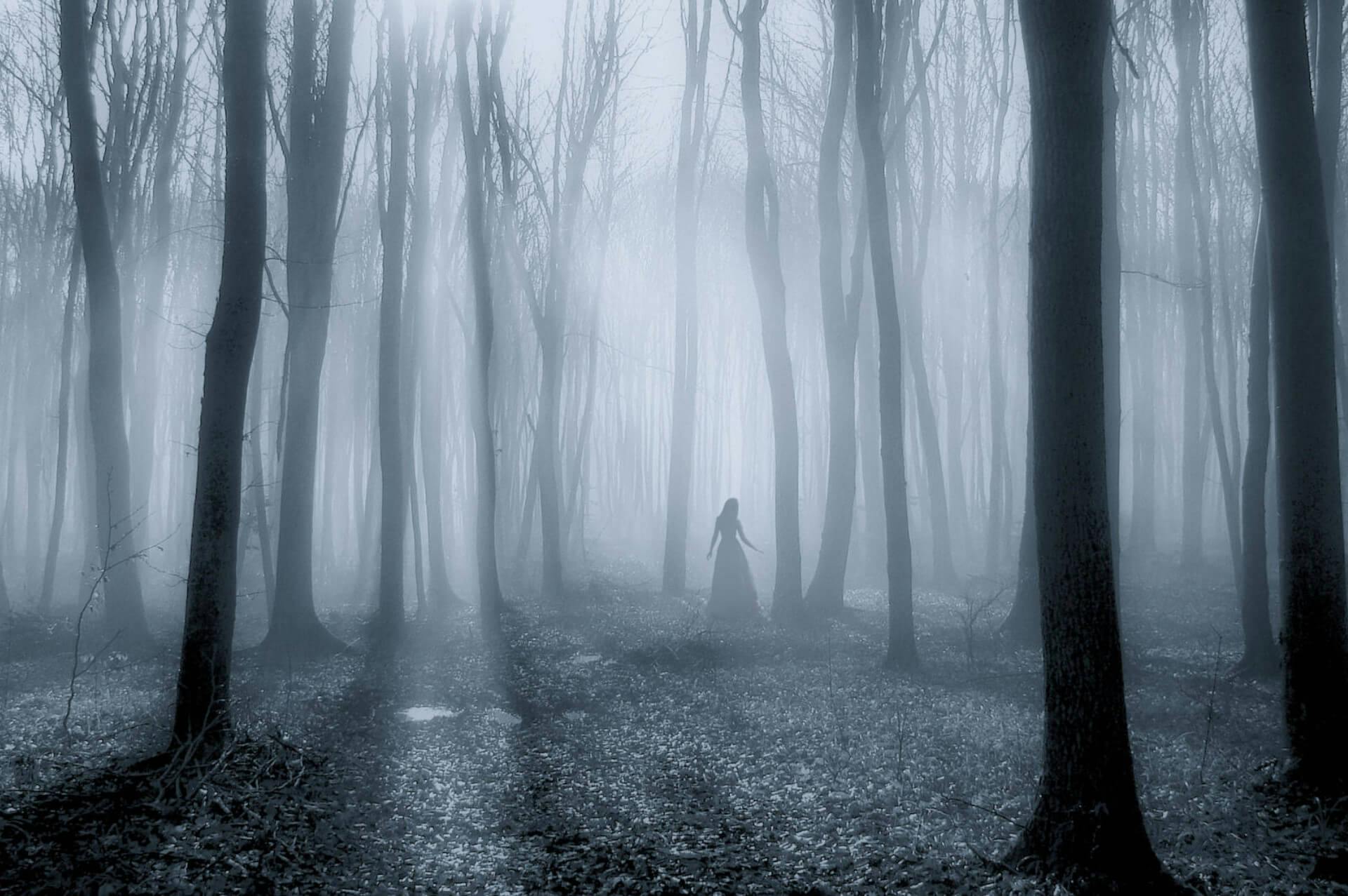 Secrets and ghosts of Rostov-on-Don private walking tour