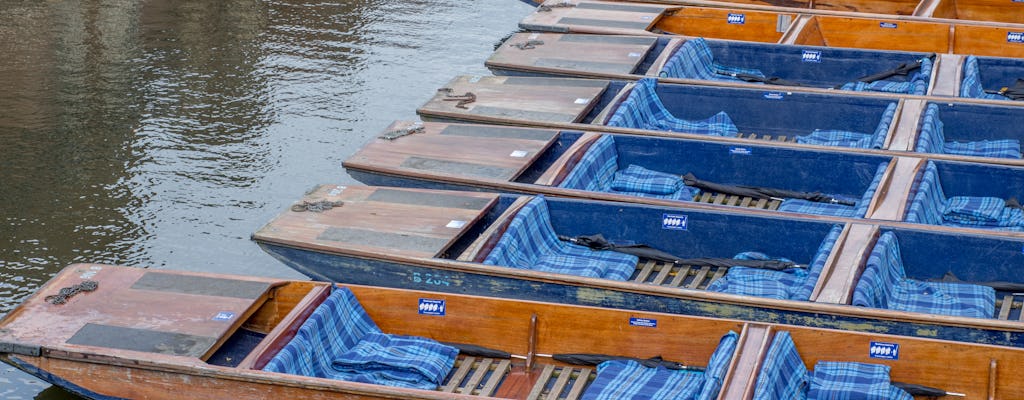 Distanced student-guided Cambridge punting tour
