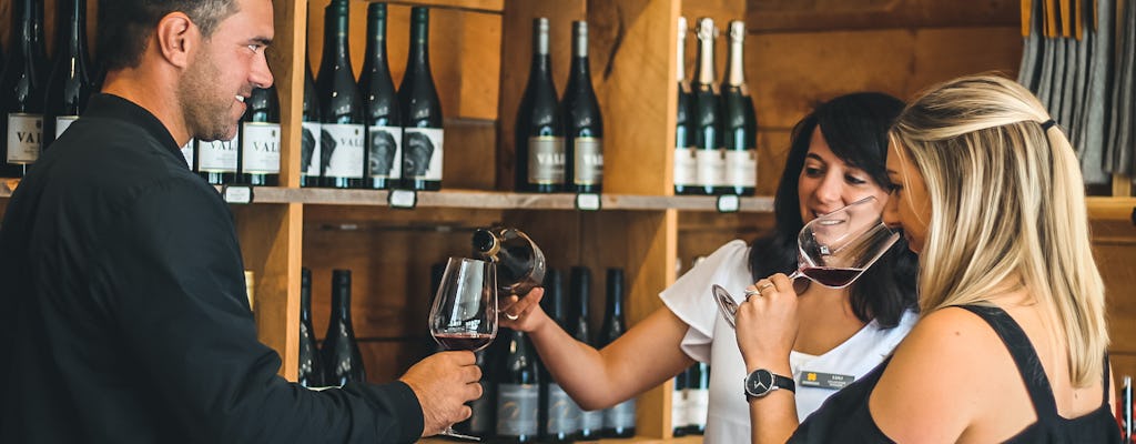 Tour de vinos boutique en 4 viñedos premium en la región central de Otago