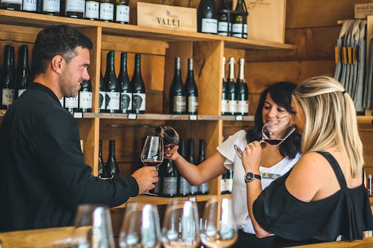 Tour de vinos boutique en 4 viñedos premium en la región central de Otago