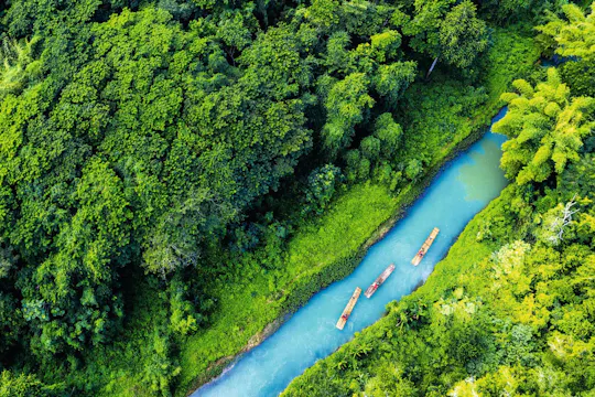 Bamboo rafting on Martha Brae River