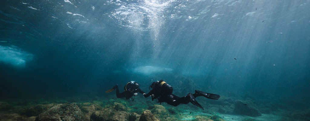 Plongée sous-marine pour plongeurs qualifiés avec équipement et Binibeca Diving