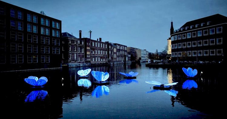 Amsterdam Festival of Lights private boat charter