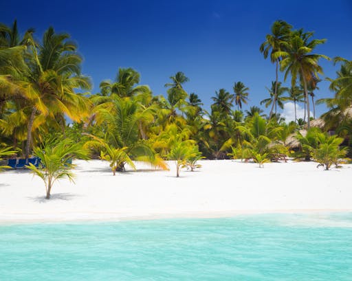 Saona Island Playa Tao Beach Club Visit