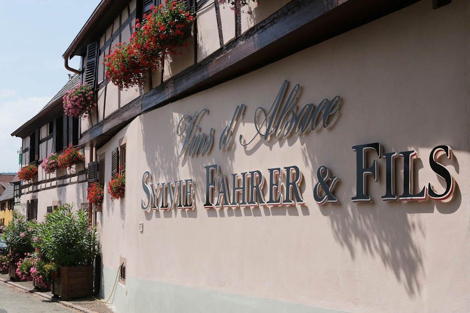 Visits and wine tastings at the Domaine Fahrer & Fils musement