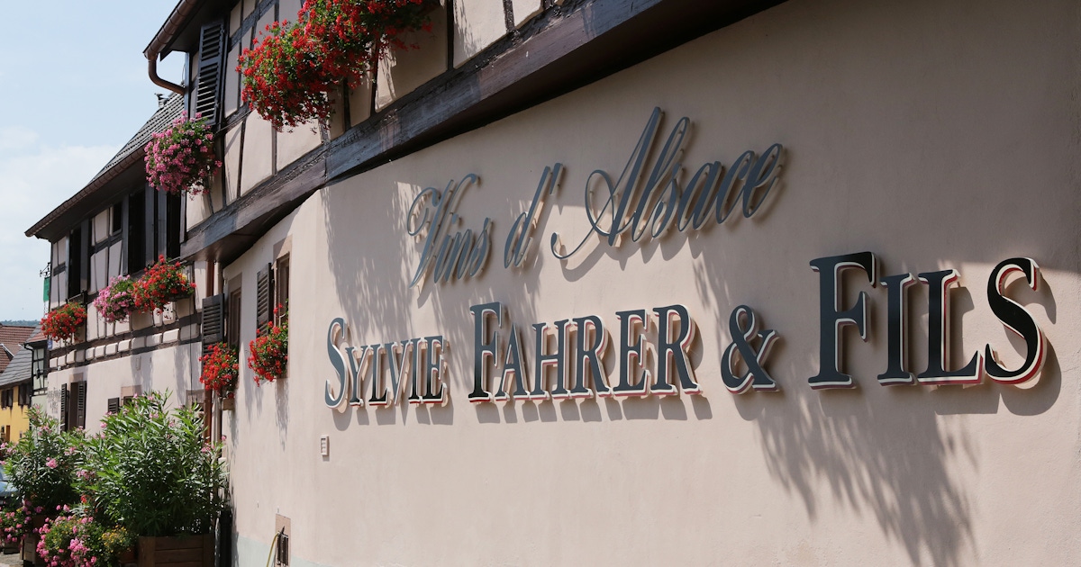 Visits and wine tastings at the Domaine Fahrer & Fils