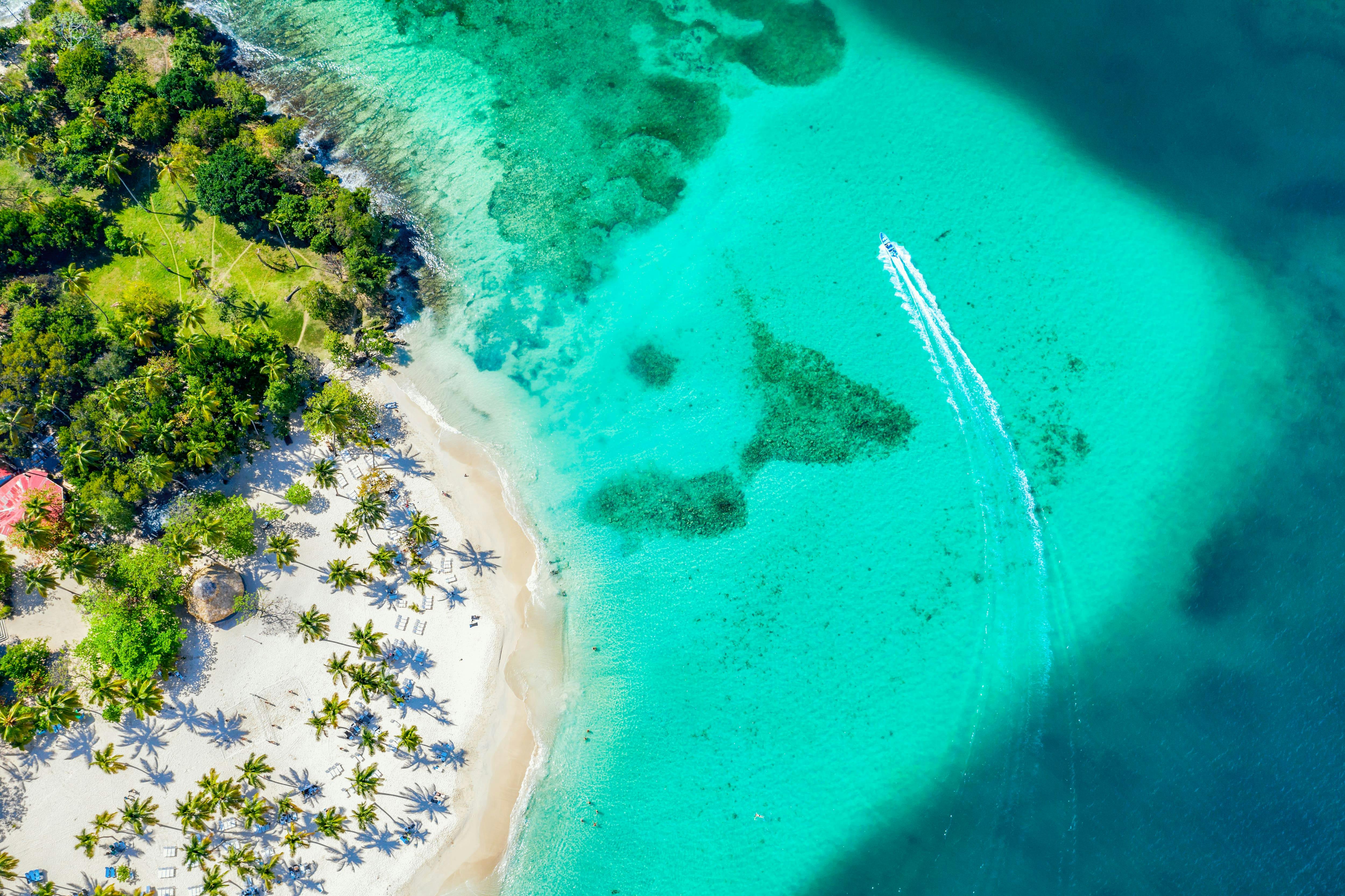 Bavaro Small Group Catamaran Tour