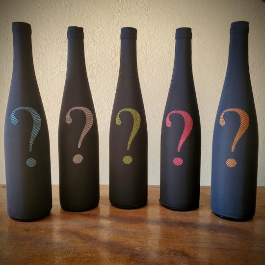 Blind wine tasting & cellar tour at the Domaine Fahrer & Fils