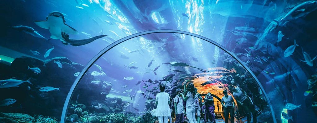 Entradas VIP al Acuario y Zoológico Submarino de Dubái