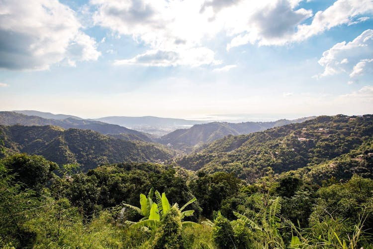 Blue Mountains Tour