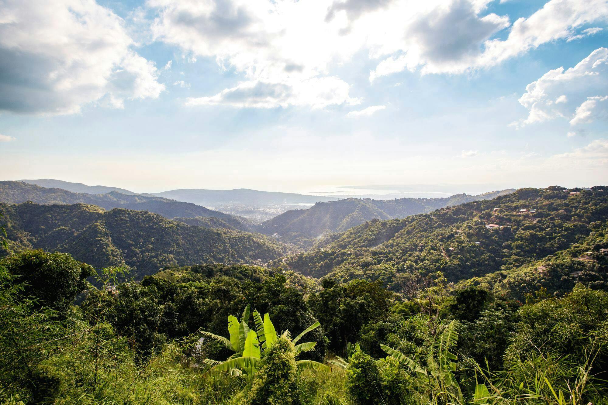 Blue Mountains Tour