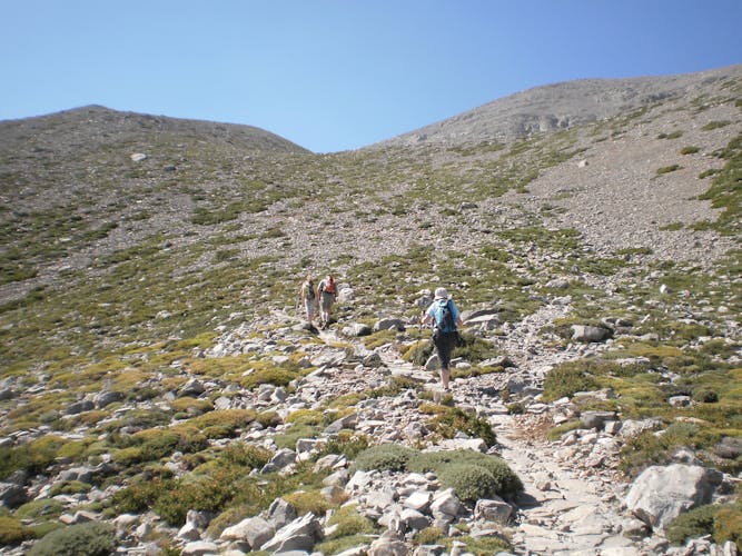 Mount Ida and Psiloritis full-day trekking tour