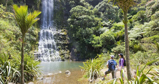 Auckland City and West Coast luxury small-group tour