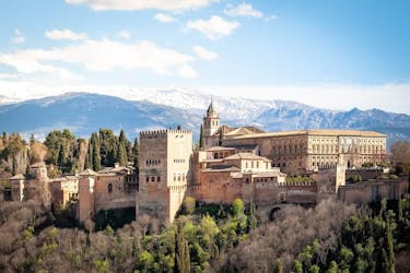 Privé dagtrip in het middeleeuwse Alhambra