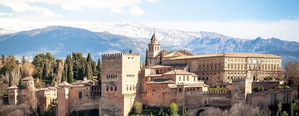 Excursión privada de un día por la ciudad medieval de la Alhambra