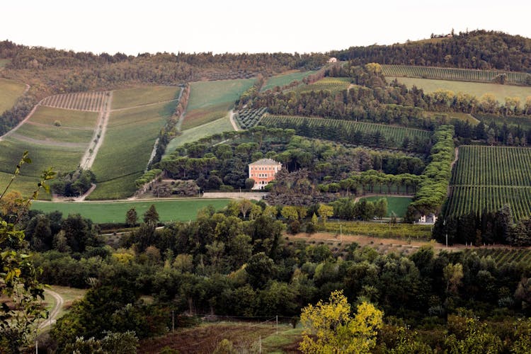 Visit and wine tasting at Pandolfa winery