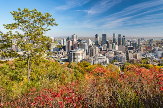 Guided tour of Montreal and mountain summit lookout in a vintage convertible car