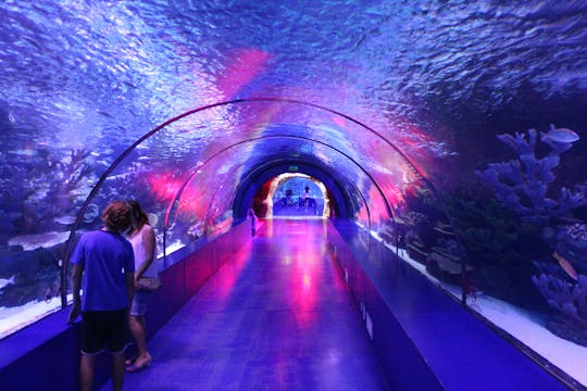 Visite de l'aquarium et de la vieille ville d'Antalya