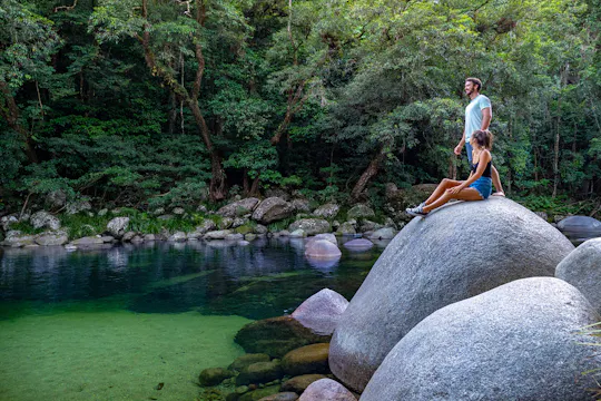 Tour della foresta pluviale di Daintree