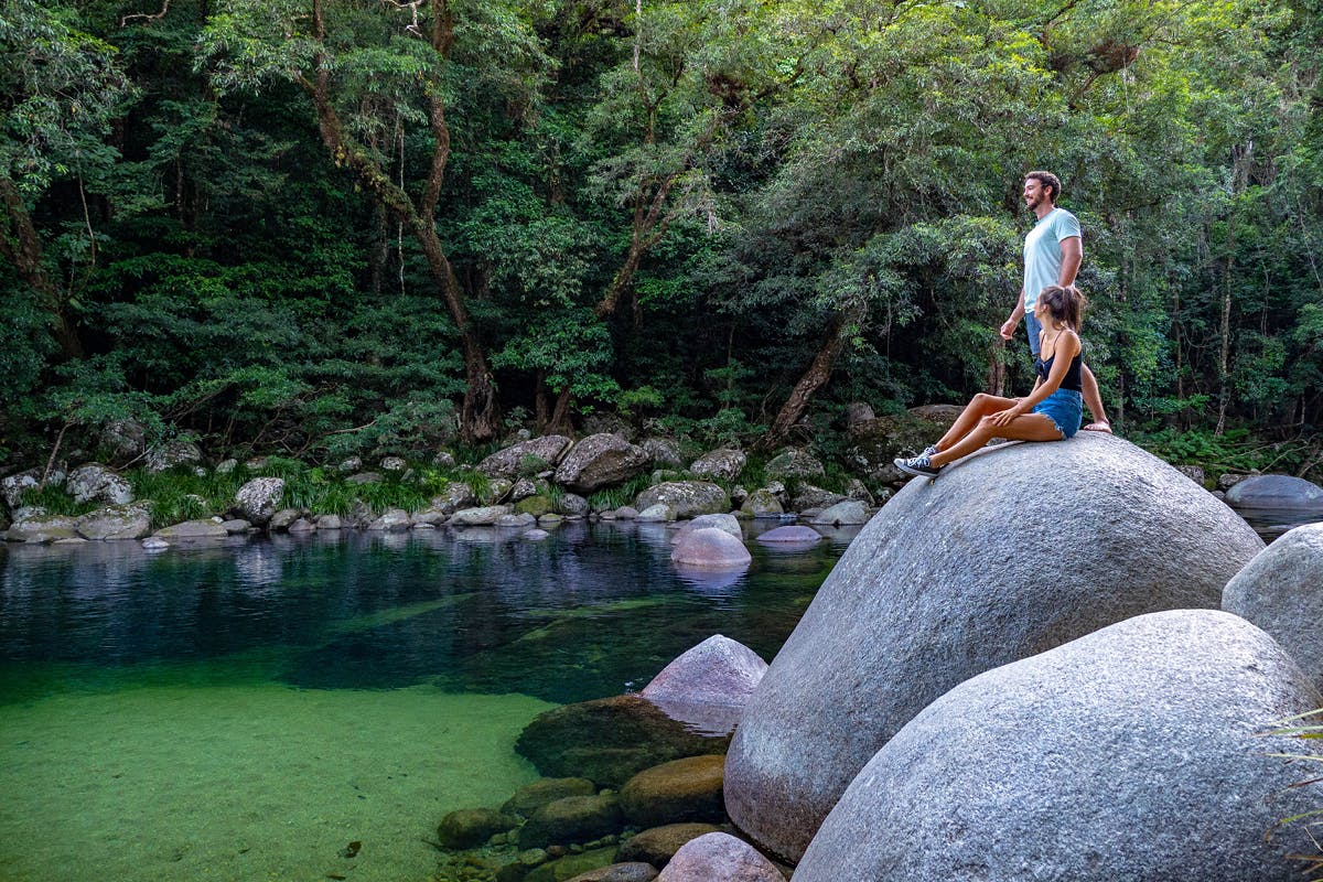 Tour della foresta pluviale di Daintree