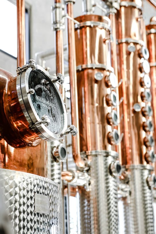 Visita guidata con degustazione di vino, gin e birra Noosa