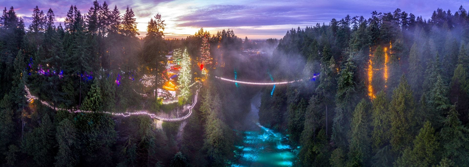 Vancouver and Capilano Canyon lights Christmas guided tour Musement