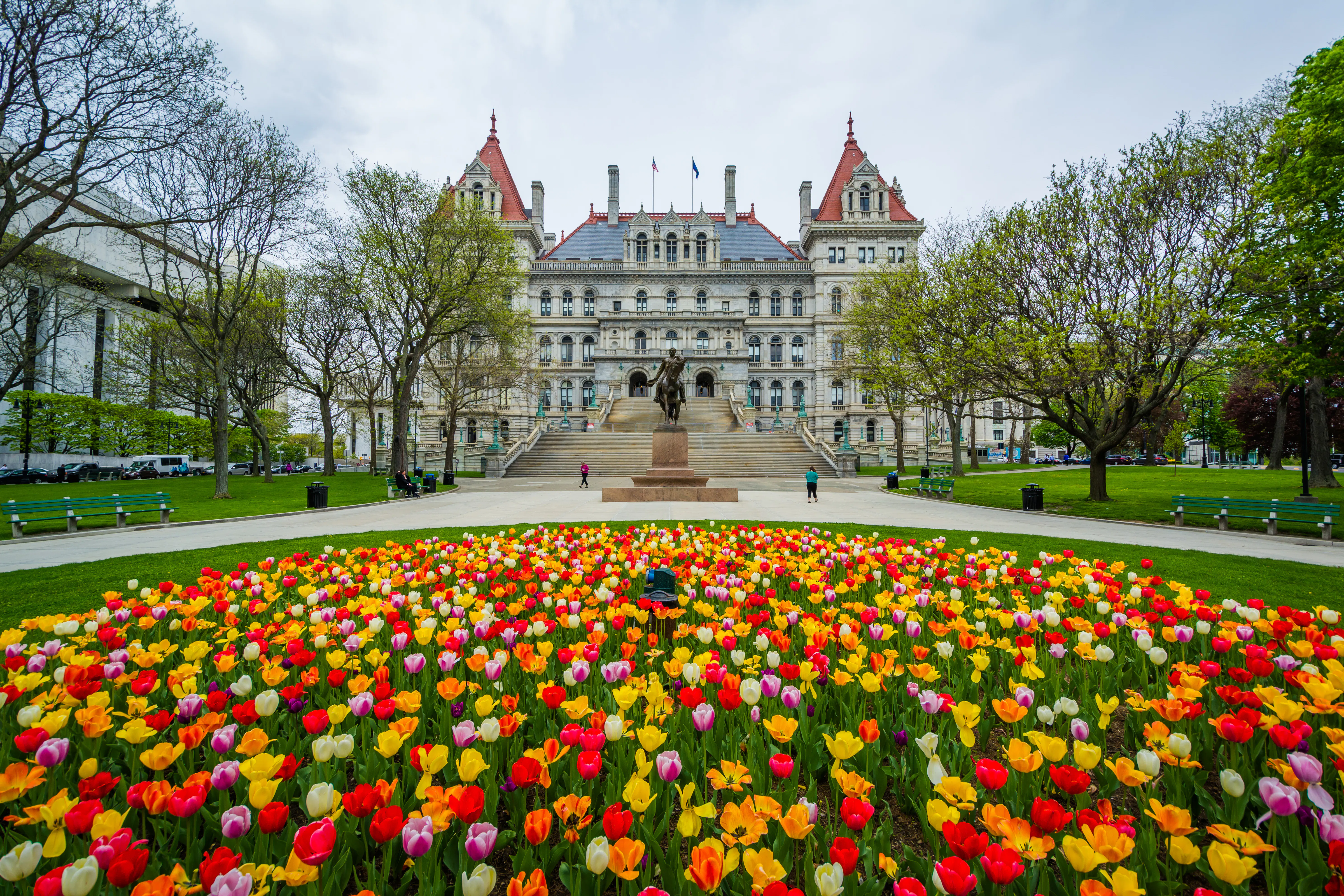 Albany