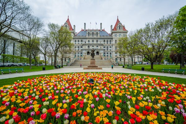 Albany