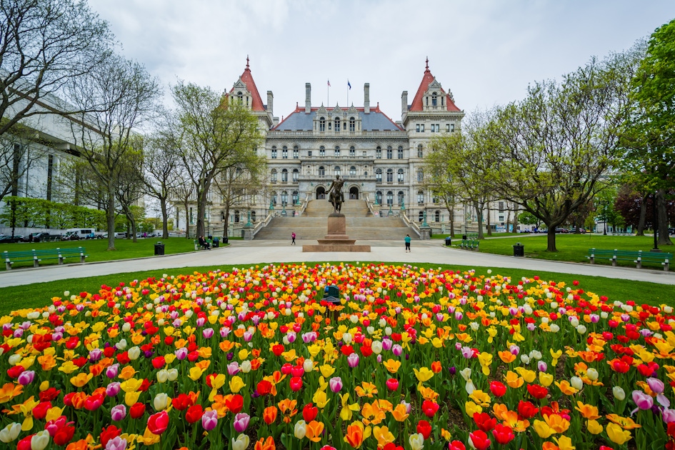 Things to do in Albany: Tours museums and attractions