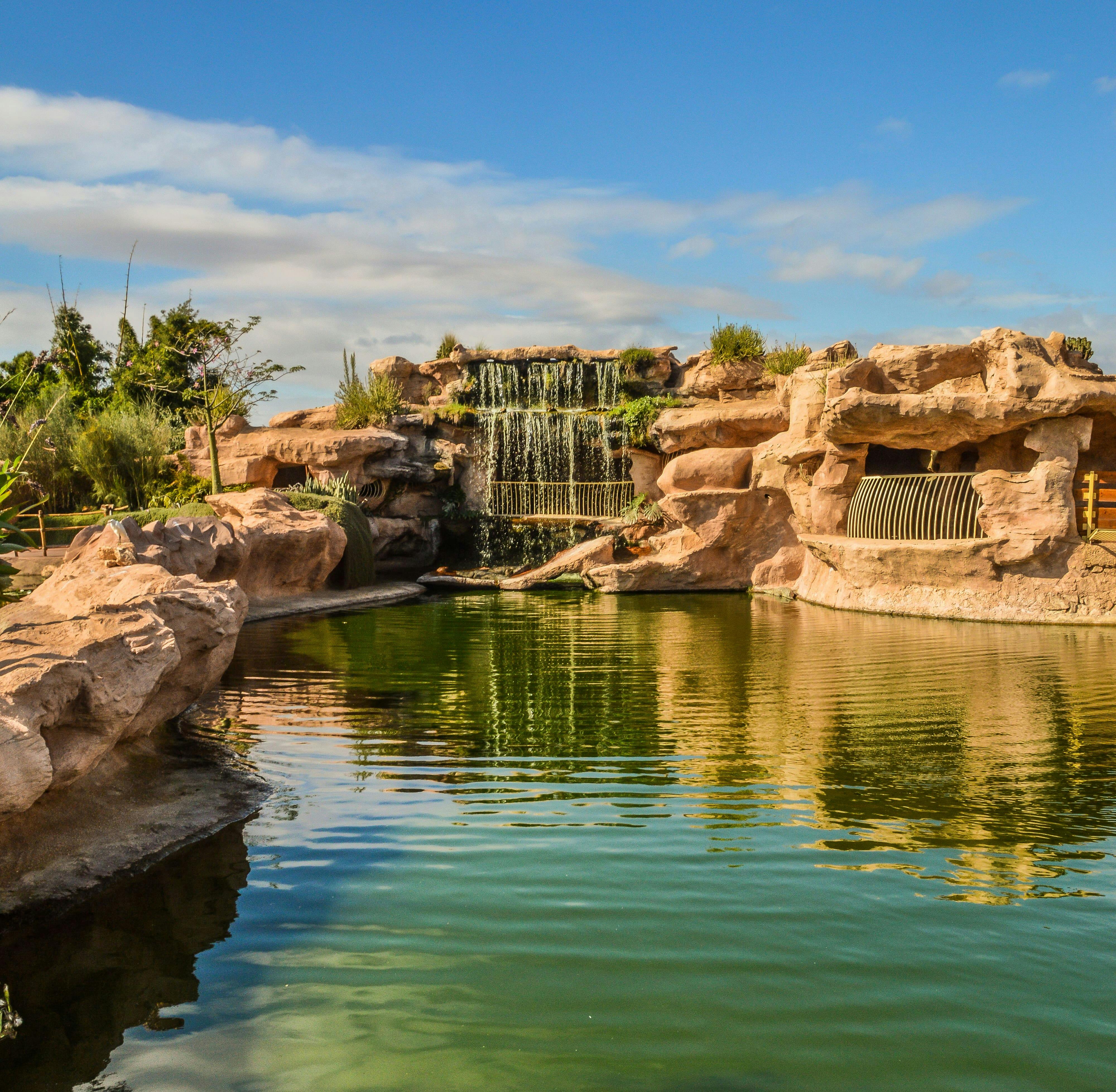 Agadir Crocoparc Tour